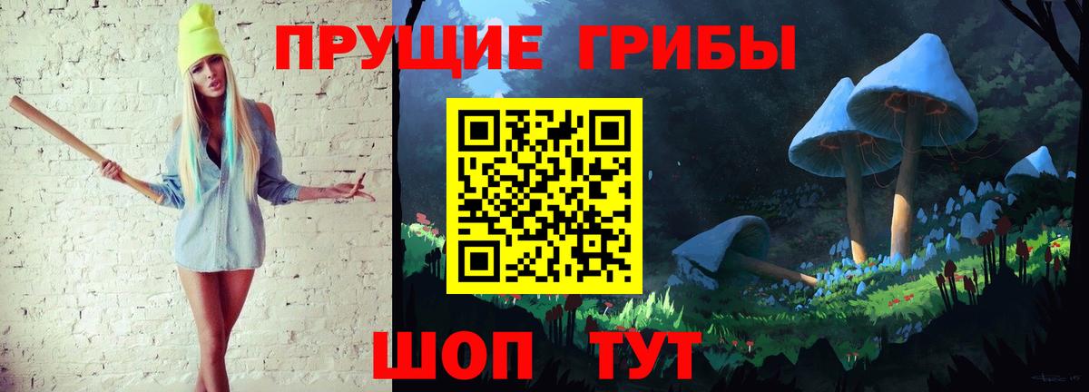 Псилоцибиновые грибы Psilocybe Богородск